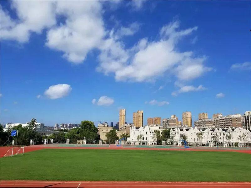 美丽校园图7